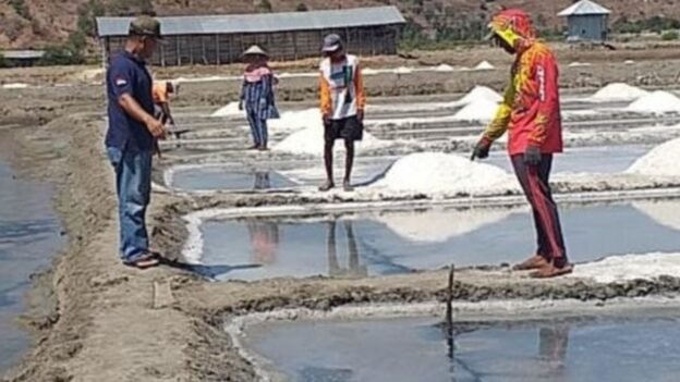 Fenomena Tanah Retak Muncul Kembali Di Bima